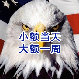 金安要账公司